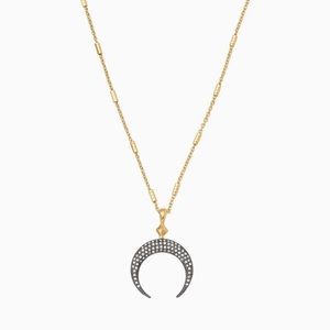 Stella & dot double horn pendant necklace